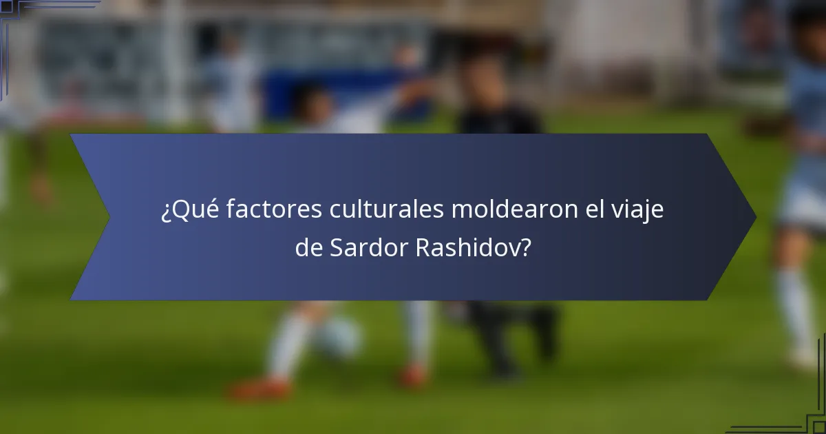 ¿Qué factores culturales moldearon el viaje de Sardor Rashidov?